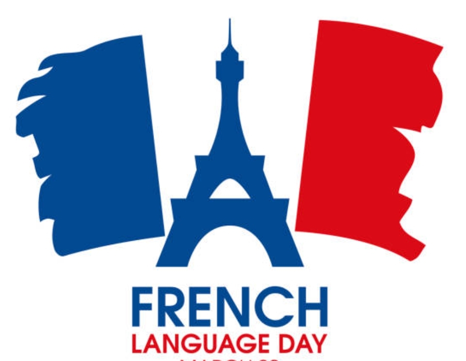 مدرس لغة فرنسية 